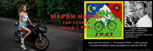 spice Новодвинск