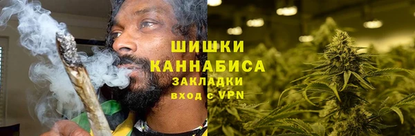 spice Новодвинск