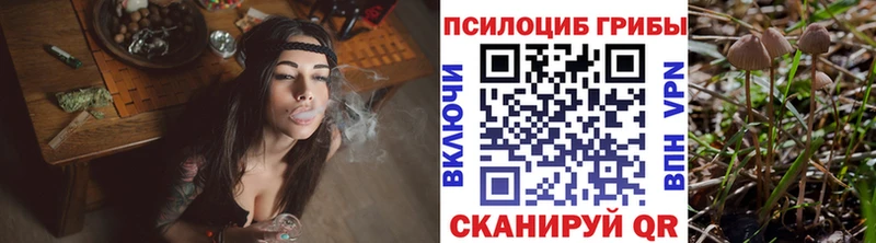 Псилоцибиновые грибы прущие грибы  Суоярви 